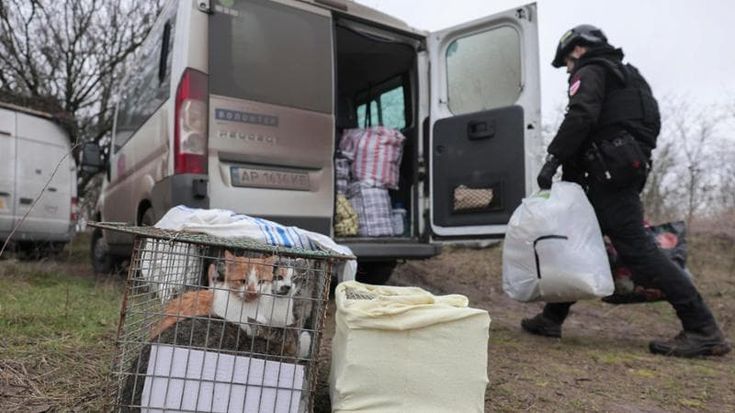 Fuga da Zaporizhzhia: ucraini via dai villaggi. Lavrov apre agli Usa