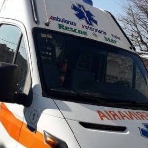 Benevento, cagnolina in procinto di partorire legata e chiusa in un sacco