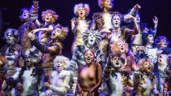 Musical, quel genere immortale: da 'Bulli e pupe' a 'Cats', a Hollywood è tempo di remake