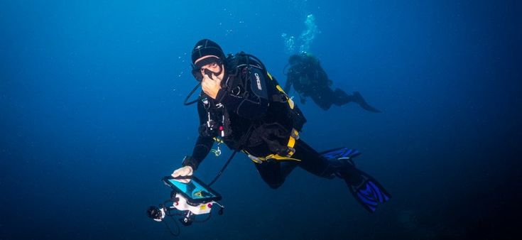 In gita sui fondali marini: ecco il navigatore per le passeggiate sott’acqua