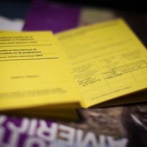 Parte campagna vaccinazione febbre gialla, Oms: "Potrebbe diffondersi in Europa"
