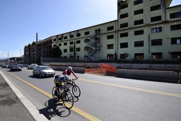 Oms: "Con pi&ugrave; bici in citt&agrave; Europa 10mila morti in meno l'anno"