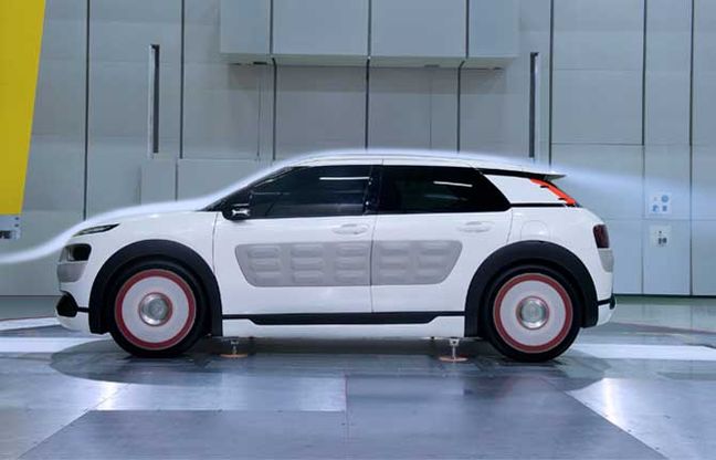 C4 Cactus ed EcoPatente che coppia
