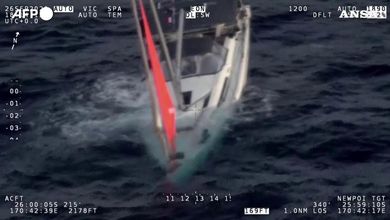 Nuova Zelanda, capodoglio affonda uno yacht: salvati quattro marinai nel Pacifico meridionale