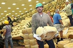 Sisma, la corsa all'acquisto<br />del parmigiano "terremotato"
