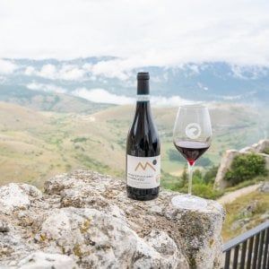 Vini abruzzesi cresciuti anche nel 2020: +8% in Gdo
