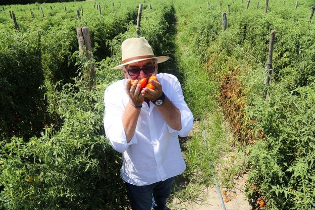 A Sorrento  nasce  un nuovo brand della gastronomia: Basilico Italia