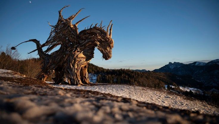 Trentino, un drago creato con gli alberi distrutti da Vaia. Il monito dello scultore ambientalista toglie il fiato