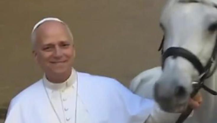 Vaticano, donato a Papa Leone un cavallo bianco di pura razza araba