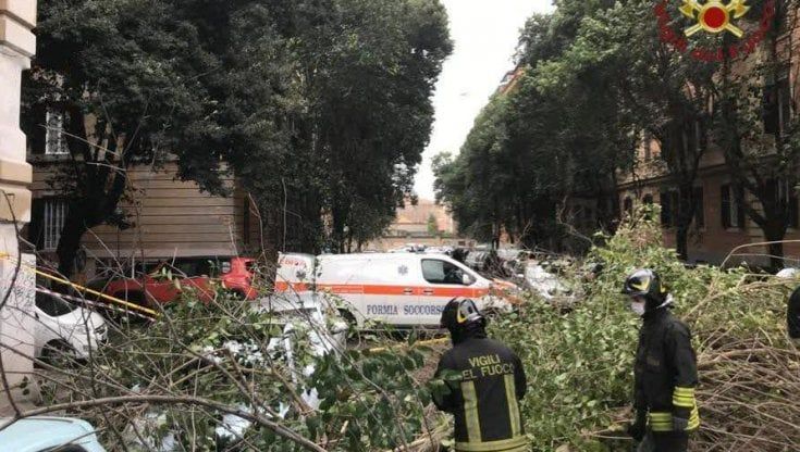 Alberi caduti a Roma, inchiesta per lesioni colpose