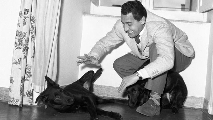 Alberto Sordi, il successo e la malinconia. Ritratto privato di un italiano
