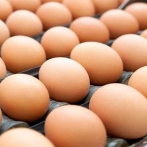 Potenza, allerta uova al Fipronil in tredici comuni