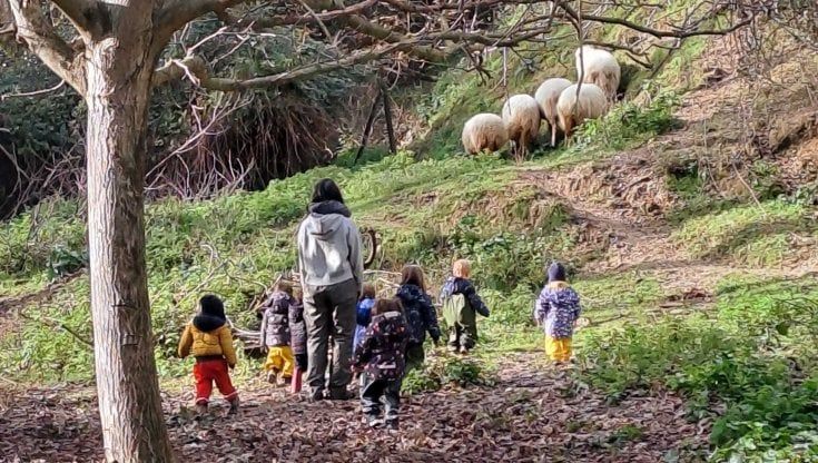 Un asilo nel bosco nella tenuta dei Piccolomini: bambini e animali in libertà in un angolo di paradiso. Che diventa centro estivo