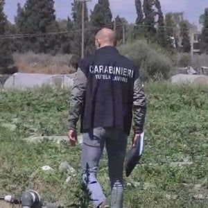 Caporalato: sfruttati a 2,5 euro l'ora, due arresti a Catania
