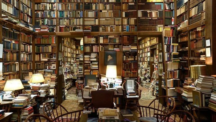 Ecco a chi appartiene la biblioteca più amata del web