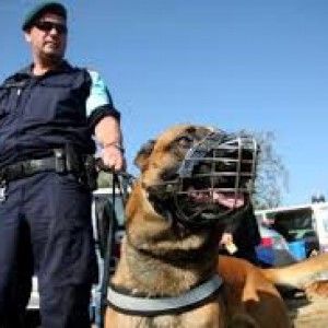 Frontex: "Siamo troppo piccoli e senza soldi, non possiamo sostituire Mare Nostrum"