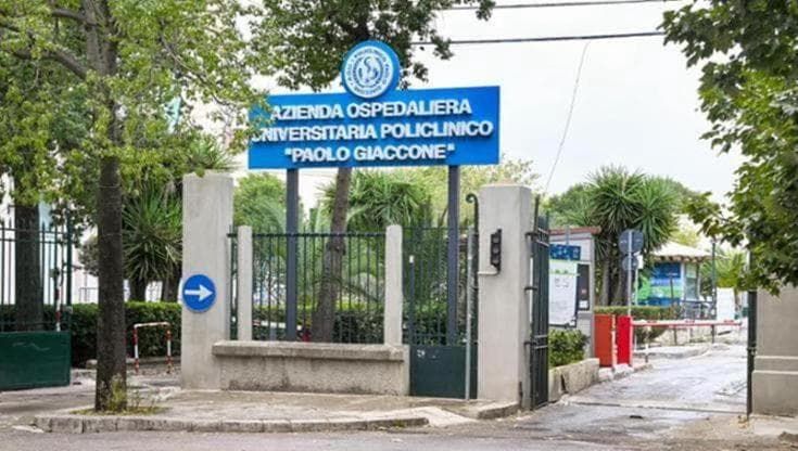 Policlinico, replica della dg Furnari a Faraone: “Cerca lo scandalo sulla sofferenza delle persone”