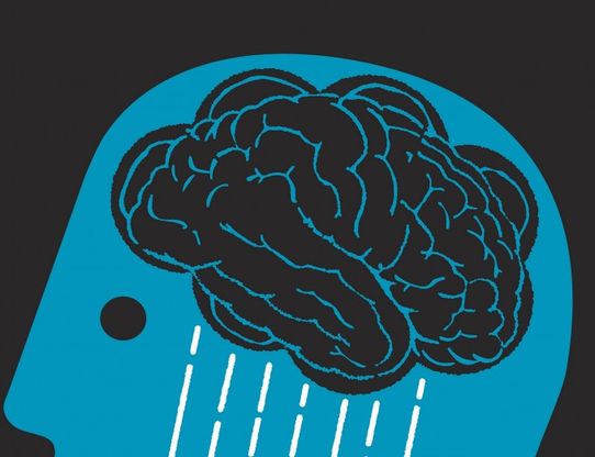"L'autismo inizia nel grembo materno da difetti nello sviluppo della corteccia cerebrale"