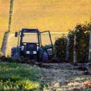 Aumento di capitale da 600.000 euro per Piedmont Delights