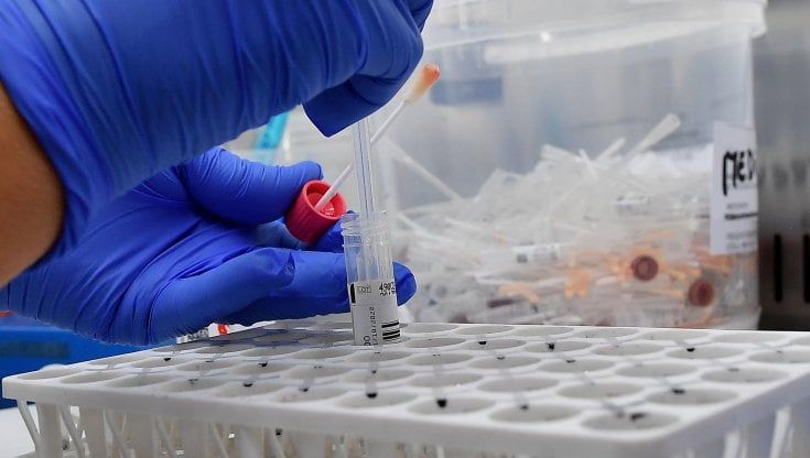 Virus, regalo di Natale: record di pazienti guariti nelle ultime 24 ore