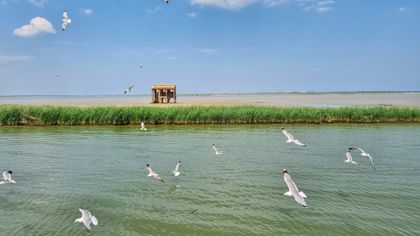 Comacchio, scene dal Delta del Po
