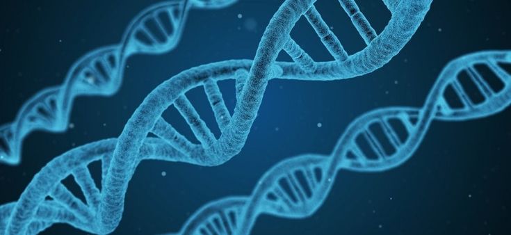 Cancro al seno, un test può cambiare la terapia