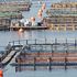 Mitsubishi si compra il salmone norvegese<br />nasce il nuovo colosso mondiale del sushi