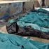 Sant'Egidio, "Non si può morire di speranza"