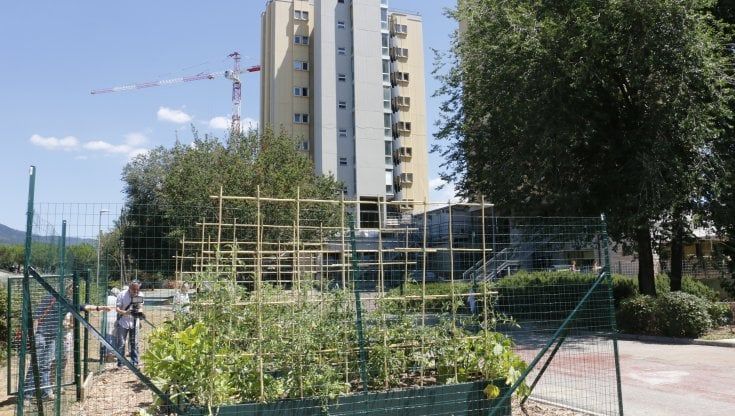 "Io studente fuori sede a Firenze, per me è un miraggio il medico curante"