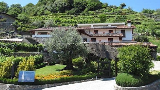 La Bottiglia: in Valtellina l’uva si sposta in teleferica