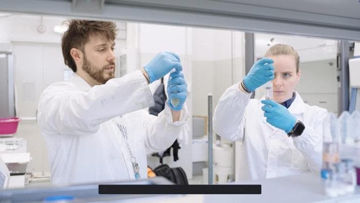 Nanocapsule di biofertilizzante a lento rilascio: è la pianta che comanda