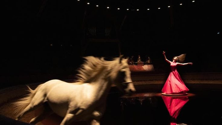 L’inno di Bartabas al coraggio delle donne