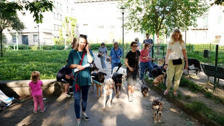"Non toglieteci l'area cani": al parco Baravalle la protesta contro la riduzione degli spazi dedicati agli animali