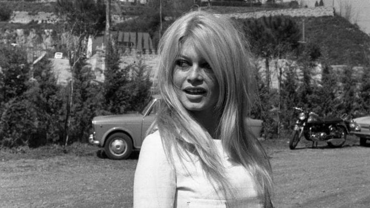 Bardot, il ricordo di Barillari: “Le foto dopo il tentato suicidio, Sachs mi prese il rullino”
