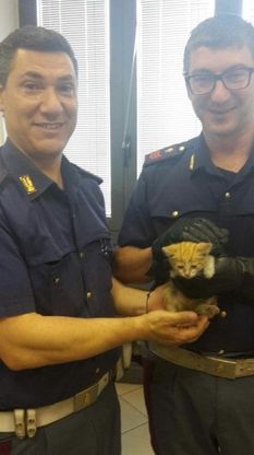 Polizia stradale, salvataggio da film per il piccolo micio
