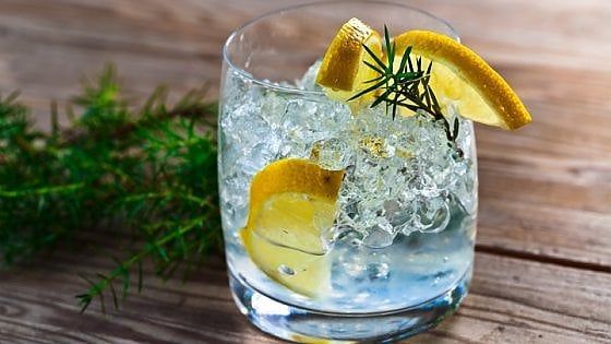 Milano, il gin nasce in lavastoviglie: quattro giovani imprenditori e la distilleria creativa