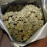 Due bambini scavano buca nella sabbia e trovano 2,5 chili di marijuana