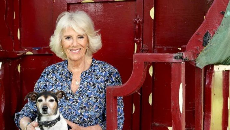 Camilla Shand, foto ufficiale per il compleanno: i 75 anni della moglie del principe Carlo 