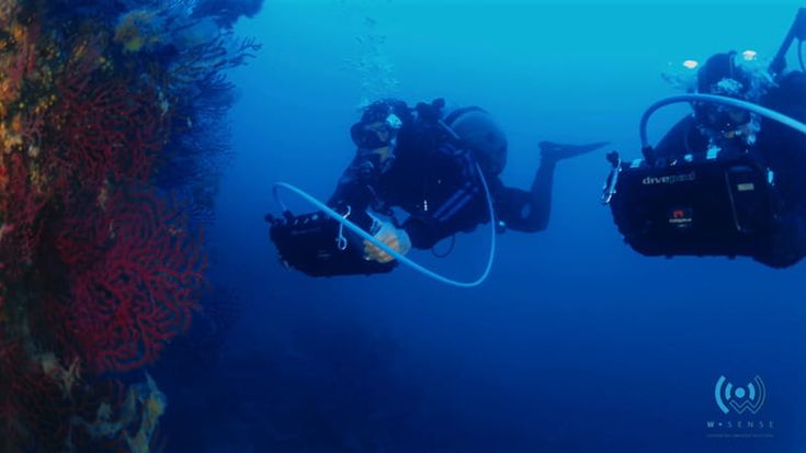 Blue economy, la romana WSense ottiene un finanziamento da 9 milioni di euro