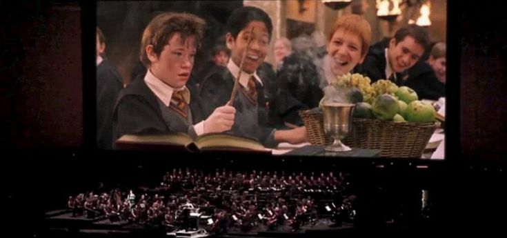 'Harry Potter e la Pietra Filosofale', la magia vibra in un'orchestra di 84 elementi