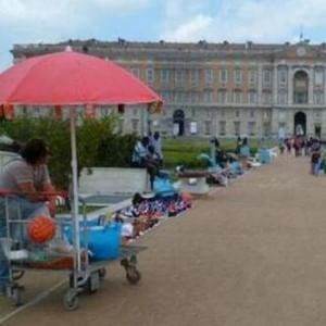 Calamite vendute davanti alla Reggia di Caserta, multa da 10mila euro