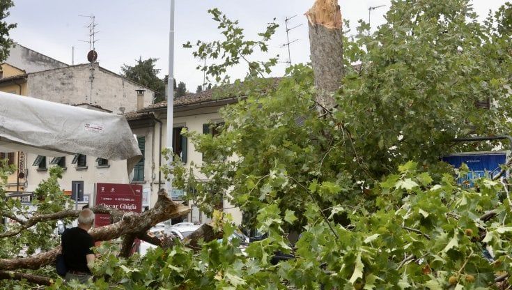 “Whatsapp per avvisare delle tempeste”, la Regione riorganizza la prevenzione