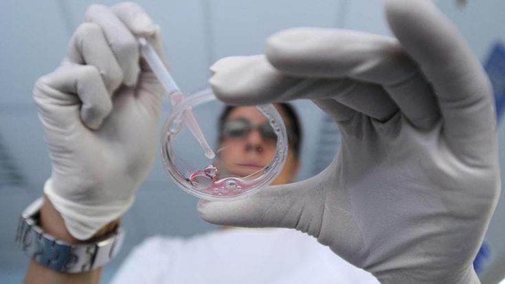 Nuove attrezzature e talenti della ricerca: i bandi da 1,35 milioni