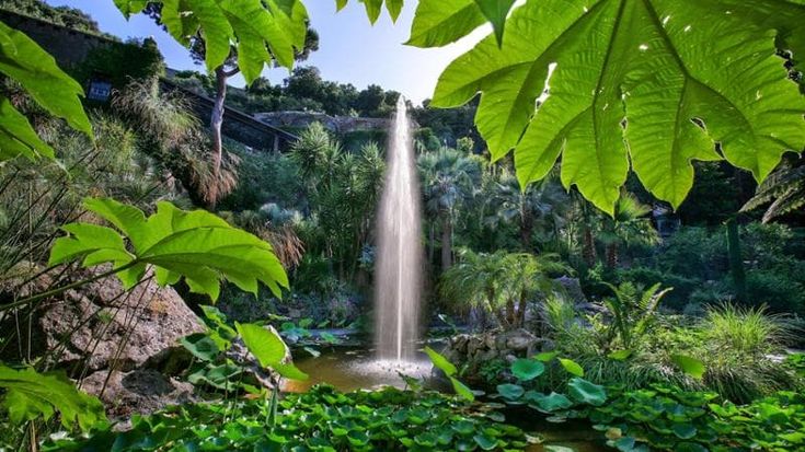 Ville, orti e castelli: nel weekend Appuntamento in Giardino con 300 spazi verdi aperti in Italia