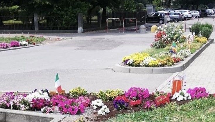 A 85 anni riempie di fiori le aiuole di Buccinasco: l’impegno di Giovanni per rendere più belli e colorati gli spazi pubblici