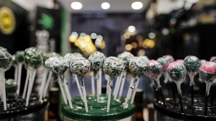 Dal no alla cannabis light alla castrazione chimica, dalla stretta alle Sim per gli stranieri al reato di picchettaggio: tutte le follie del ddl sicurezza