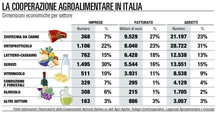 Coop agricole, domina il nord <br>valgono un quarto del mercato