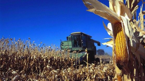 Piano da un miliardo per rilanciare l'agricoltura