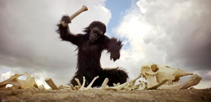 '2001: Odissea nello spazio', il capolavoro di Kubrick che predisse l'evoluzione della razza umana    