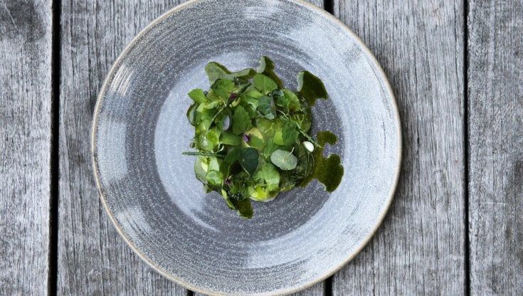 René Redzepi: "Dopo il buio del lockdown riparto dalla cucina nordica"